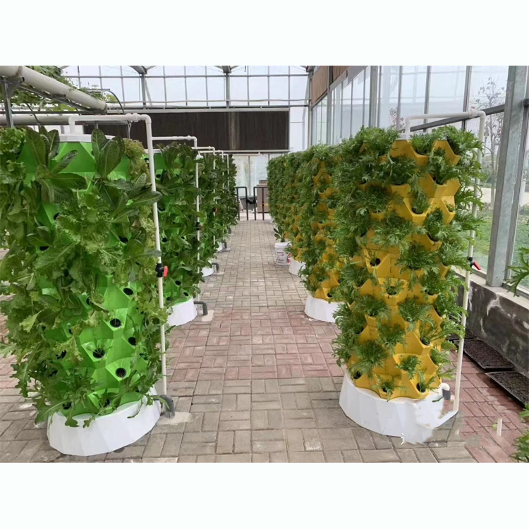 Hungary Client Visited Angde To Conduct An In-Depth Inspection Of Hydroponic Systems