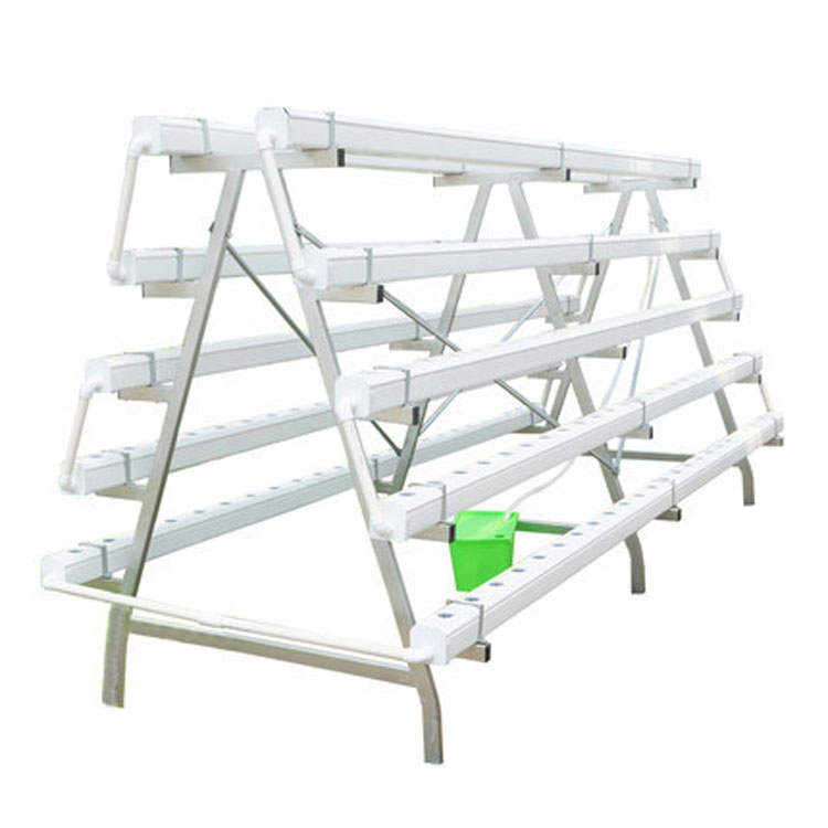 NFT Hydroponic Systems for Year-Round Vegetable Cultivation in the Netherlands