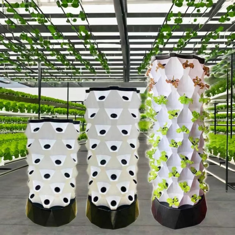 Boosting Greenhouse Productivity in Oman with Vertical Hydroponic Towers
