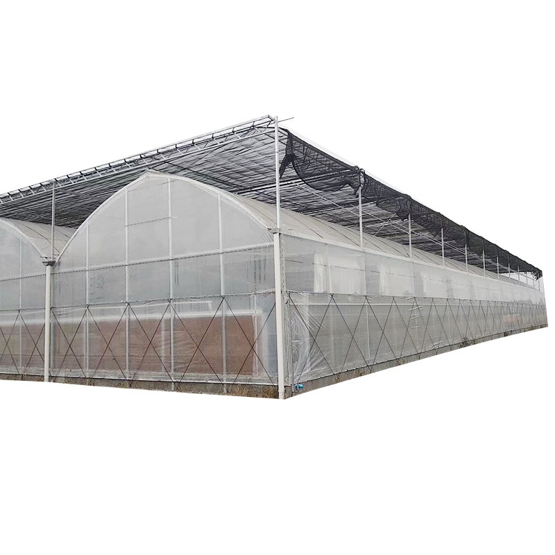 Multi-Tunnel Greenhouse