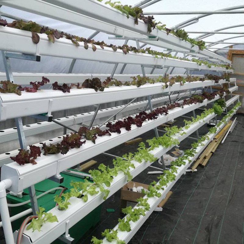 Nft Channel100*50mm Nft Hydroponic Gutter Pvc Channel Grow System
