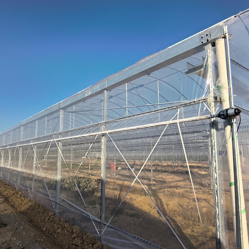 Single-Span Agricultural PE Film Greenhouse for Vegetable