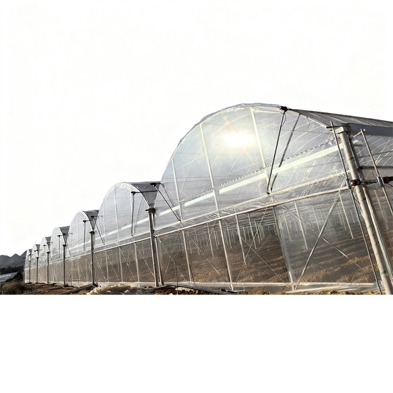 Commercial Plastic Agricultural Equipment Film Tunnel Greenhouse