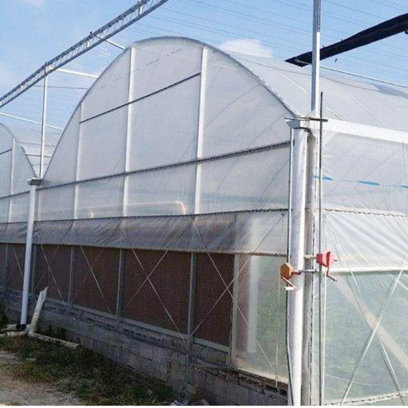 Large Single Tunnel Plastic Agricultural Greenhouse