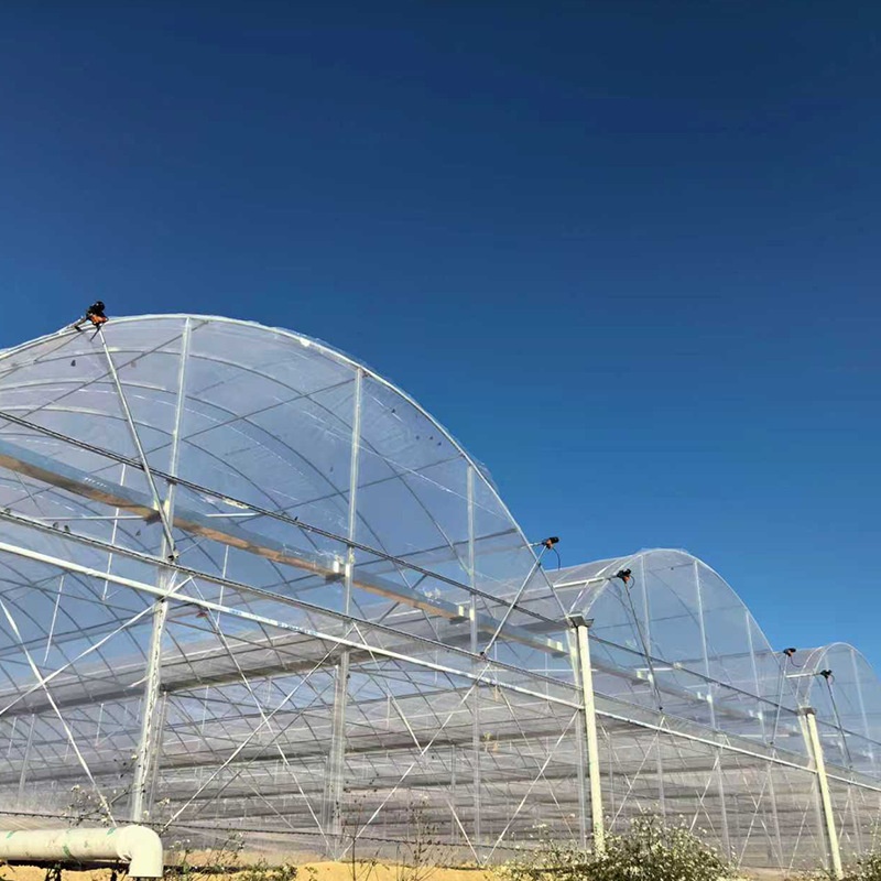 Greenhouses in Agriculture Single-span High Light Transmission Greenhouse